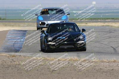 media/May-03-2024-PCA Central Coast (Fri) [[eaa7da0ee1]]/Yellow Group/Session 1 (Grapevine)/